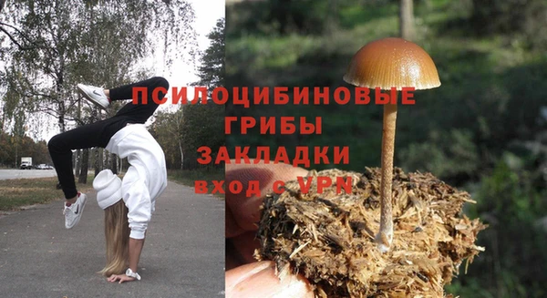 ешки Володарск