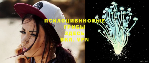 ешки Володарск