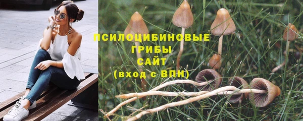 ешки Володарск