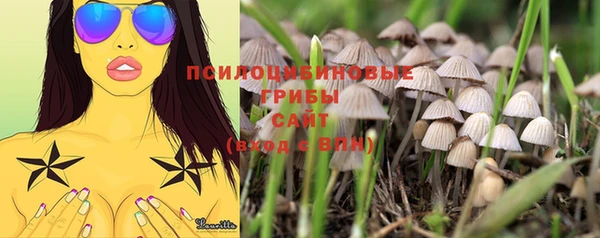 ешки Володарск